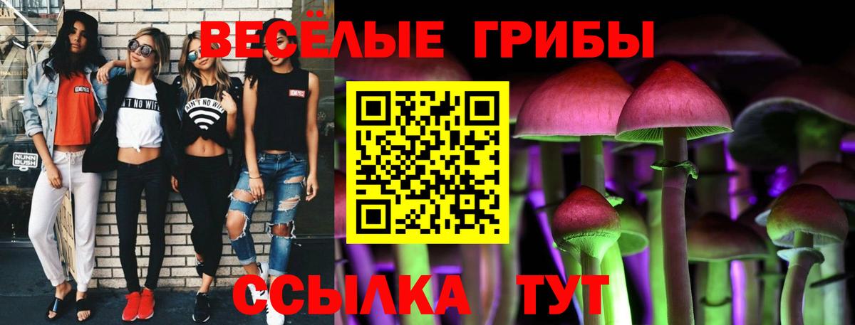 Михайловск  купить наркотик  Псилоцибиновые грибы Magic Shrooms  Вход с VPN  Псилоцибиновые грибы прущие грибы 